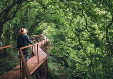 Tourist walking through Mtirala national park in Georgia