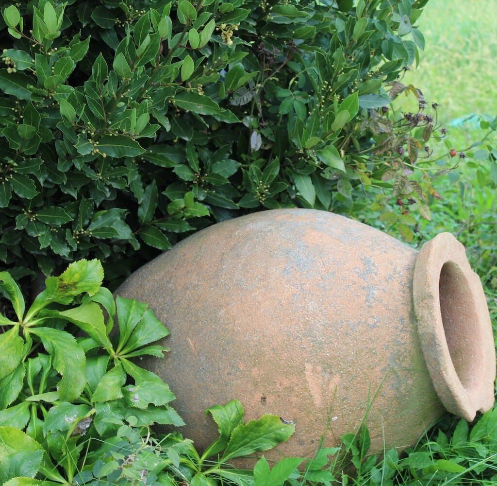 Georgian wine vessel Qvevri
