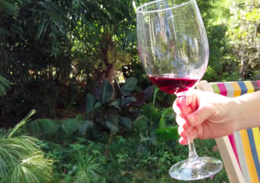 Glass of red Georgian wine