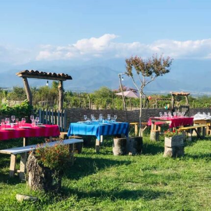 wine tasting tour set up in Ruispiri biodynamic winery in Kakheti georgia