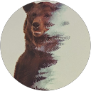 Said Nasimov profile picture