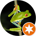 Esther profile picture