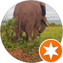 Kas Yasin profile picture