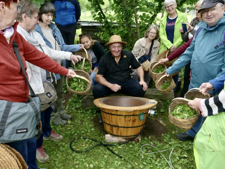 Gurian tea farmer surrounded by tourists who appreciate regenerative tourism and responsible travel in Georgia